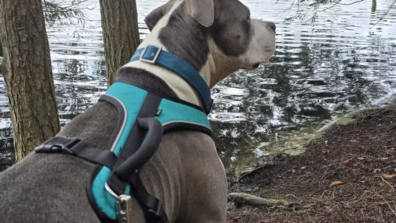 Lake Bonita Trailhead- Moreau Lake State Park - Corinth, NY