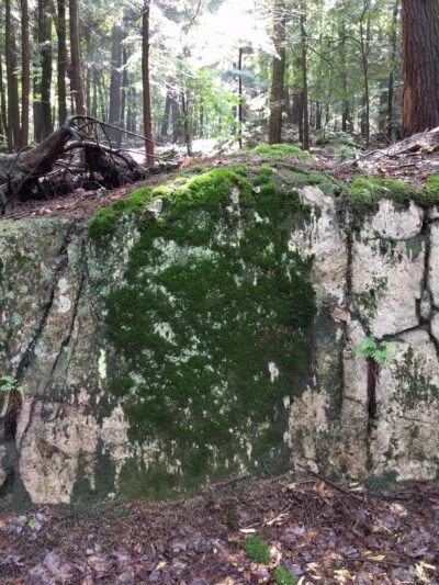 Lake Bonita Trailhead- Moreau Lake State Park - Corinth, NY