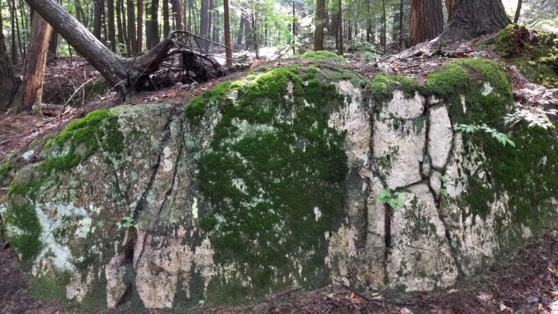 Lake Bonita Trailhead- Moreau Lake State Park - Corinth, NY