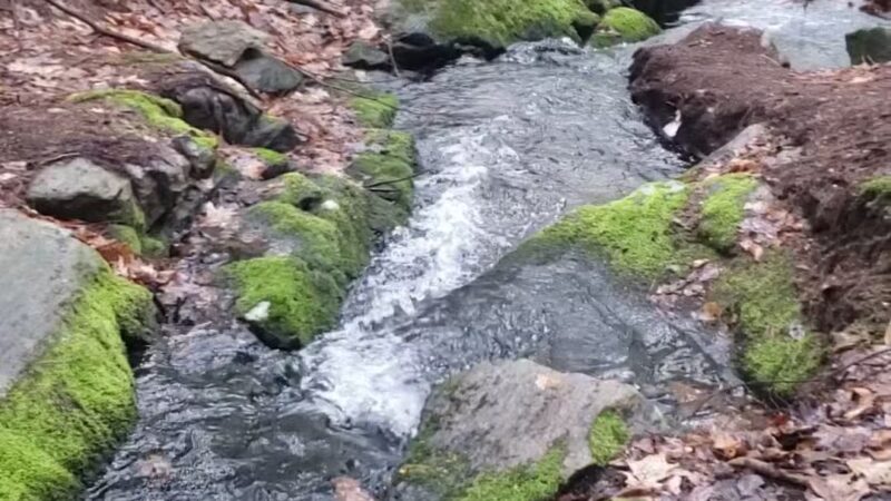 Lake Bonita Trailhead- Moreau Lake State Park - Corinth, NY