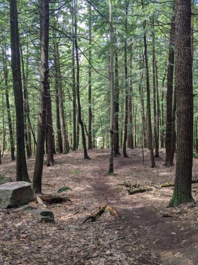 Lake Bonita Trailhead- Moreau Lake State Park - Corinth, NY