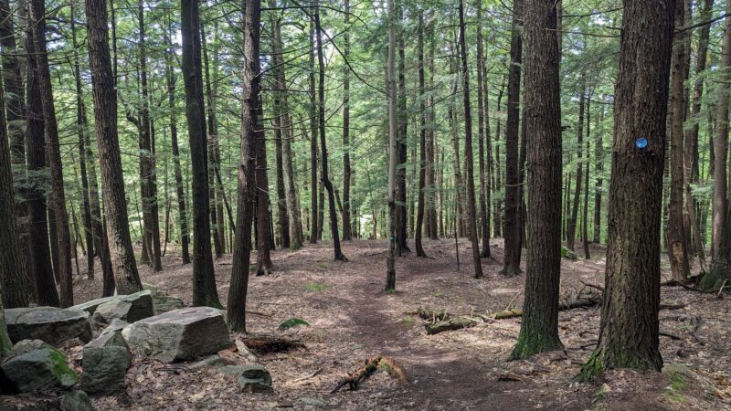 Lake Bonita Trailhead- Moreau Lake State Park - Corinth, NY