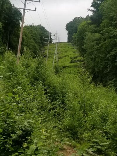 Western Ridge Trailhead - Corinth, NY
