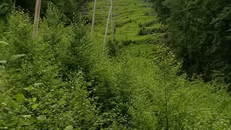 Western Ridge Trailhead - Corinth, NY