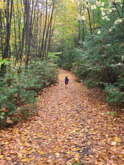 Western Ridge Trailhead - Corinth, NY