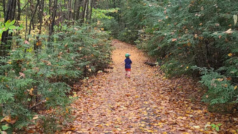 Western Ridge Trailhead - Corinth, NY