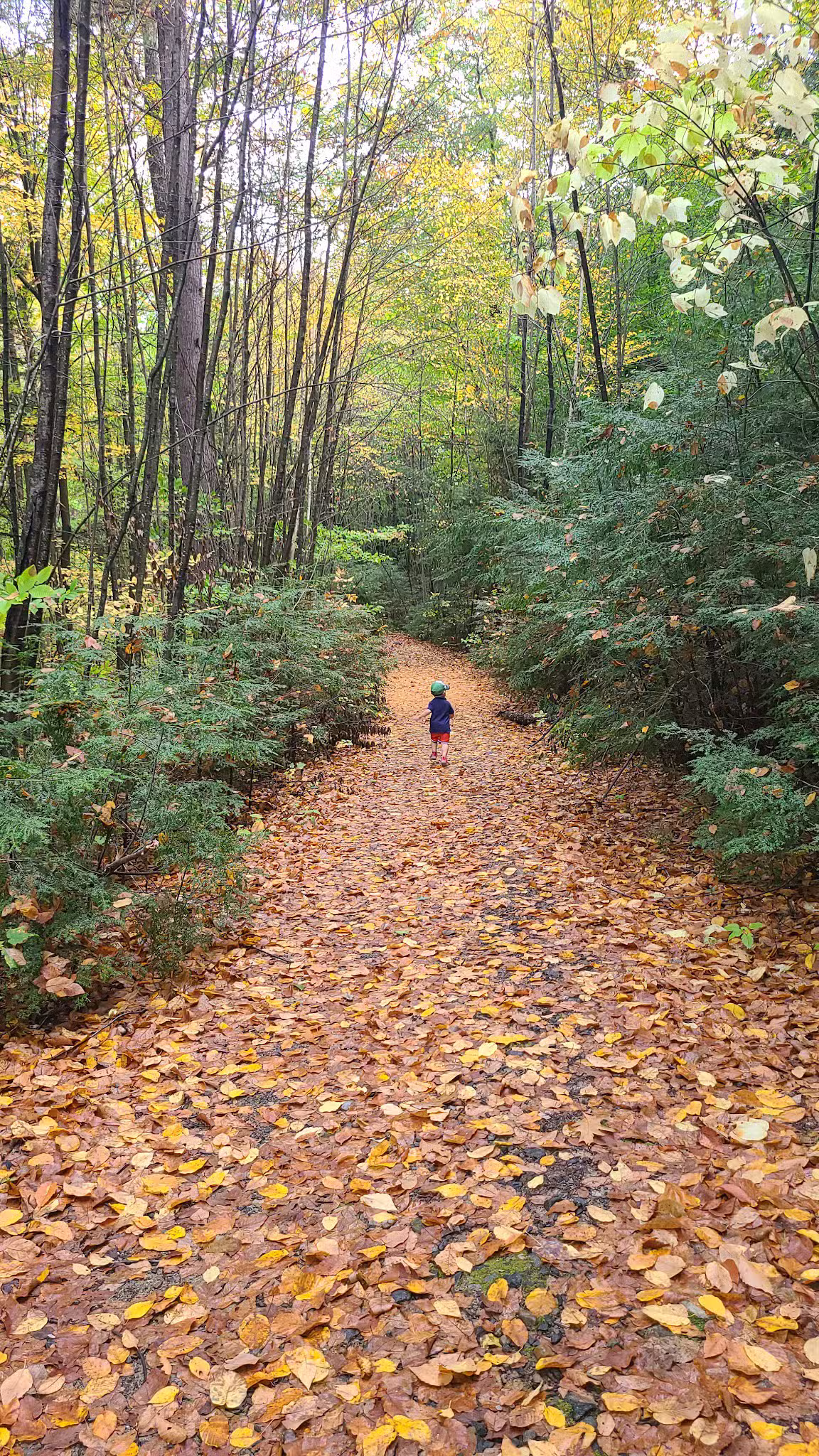 Western Ridge Trailhead - Corinth, NY
