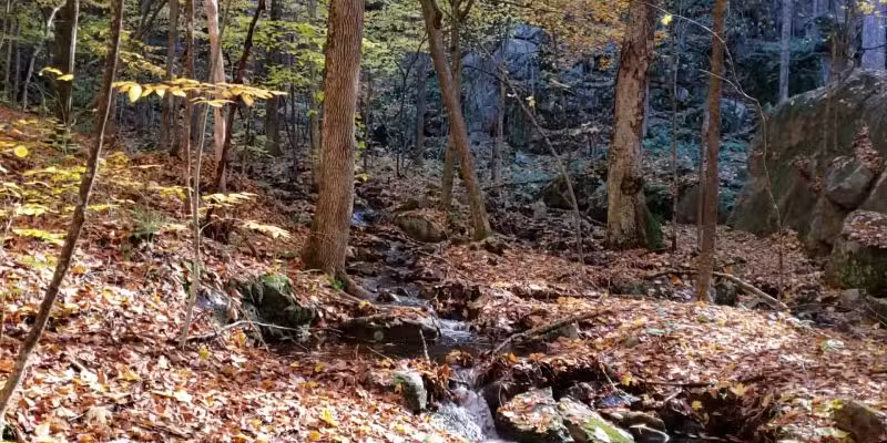 Western Ridge Trailhead - Corinth, NY