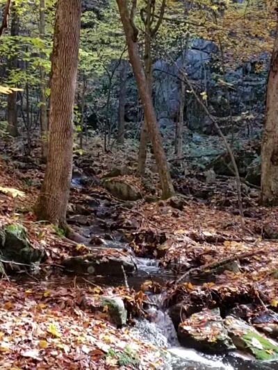 Western Ridge Trailhead - Corinth, NY