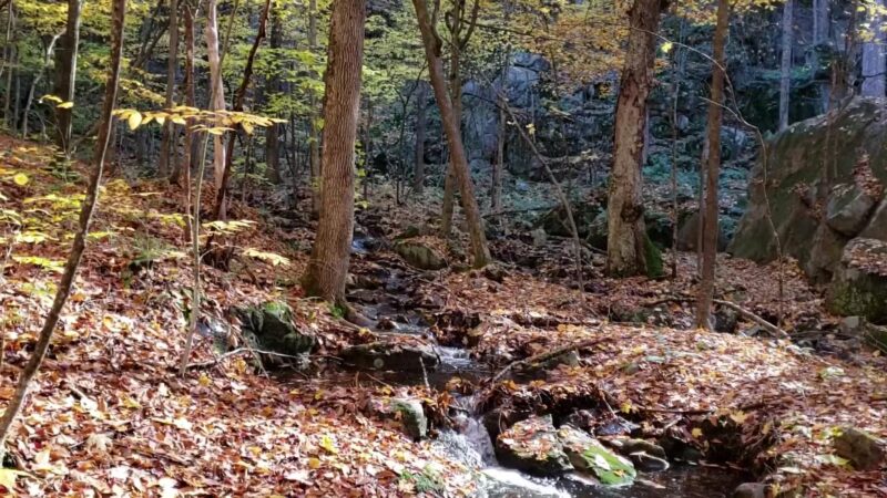Western Ridge Trailhead - Corinth, NY
