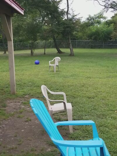 Happy Tails Daycare & Pet Resort - Corning, NY