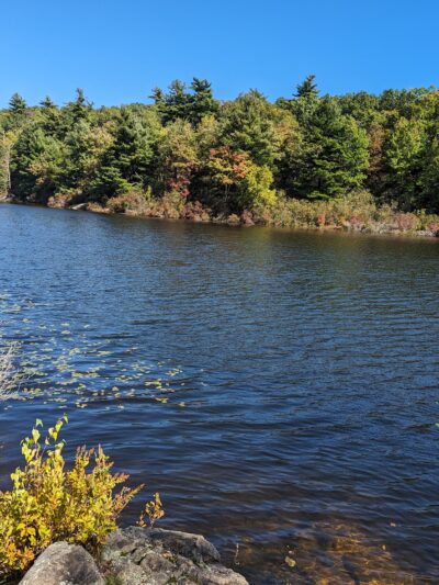 Black Rock Forest - Mine Hill Road Trailhead - Cornwall, NY