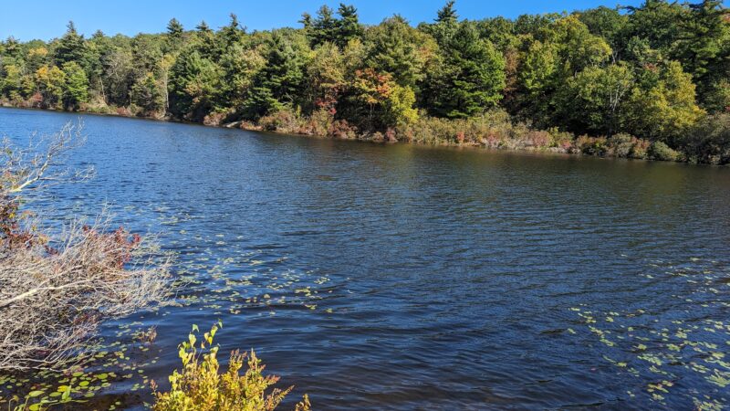 Black Rock Forest - Mine Hill Road Trailhead - Cornwall, NY
