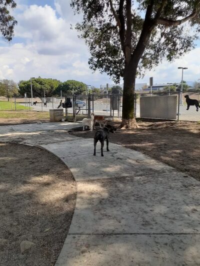 Corona Dog Park - Corona, CA
