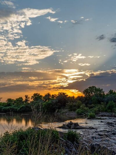 Rio Rancho/Corrales Bosque Preserve - Corrales, NM