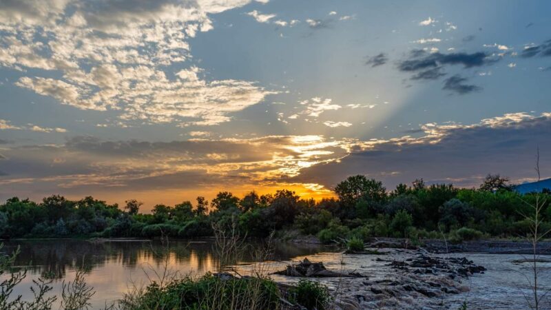 Rio Rancho/Corrales Bosque Preserve - Corrales, NM