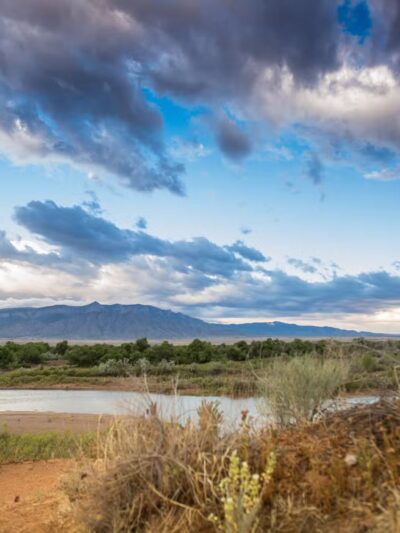Rio Rancho/Corrales Bosque Preserve - Corrales, NM