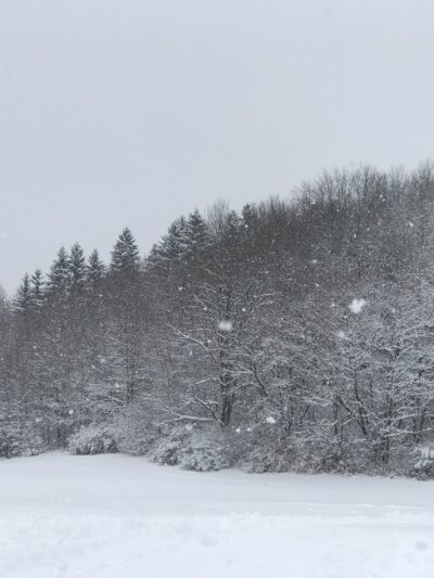 BEAUDRY PARK BLDG - Cortland, NY