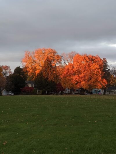 Randall Park - Cortland, NY