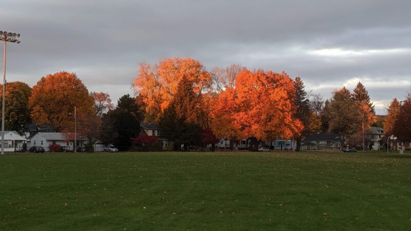Randall Park - Cortland, NY