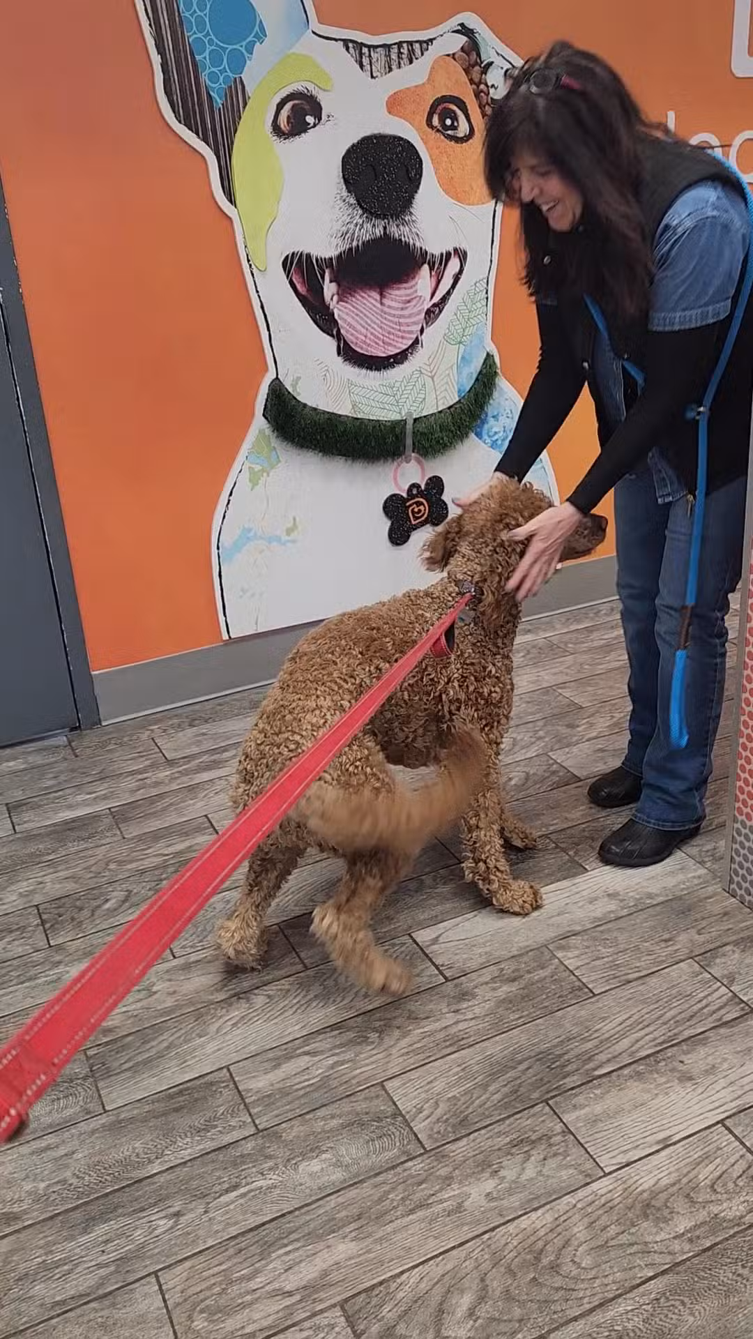 Dogtopia of Yorktown - Cortlandt, NY