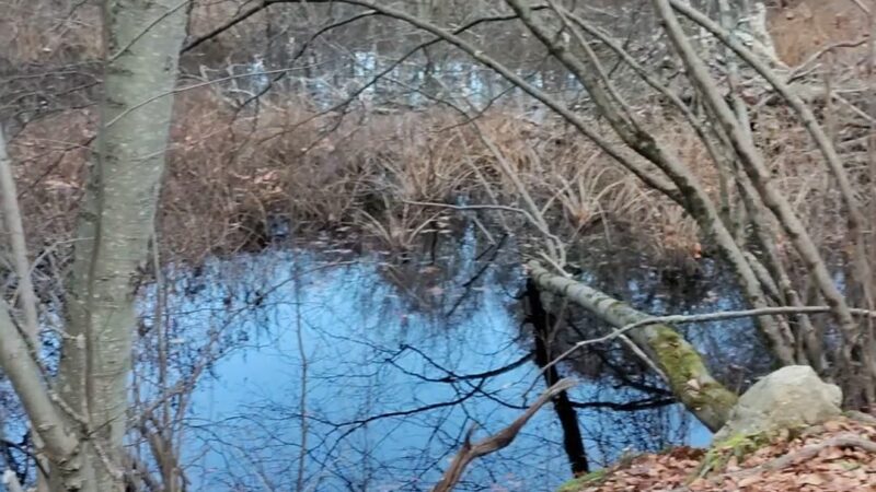 Hudson Highlands Gateway Park Overlook Pond Trailhead - Cortlandt, NY