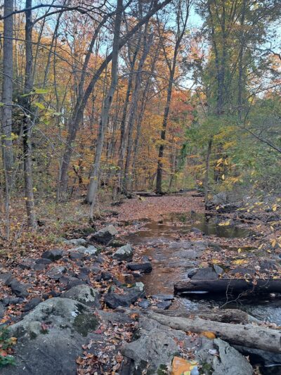 Hudson Highlands Gateway Park Overlook Pond Trailhead - Cortlandt, NY