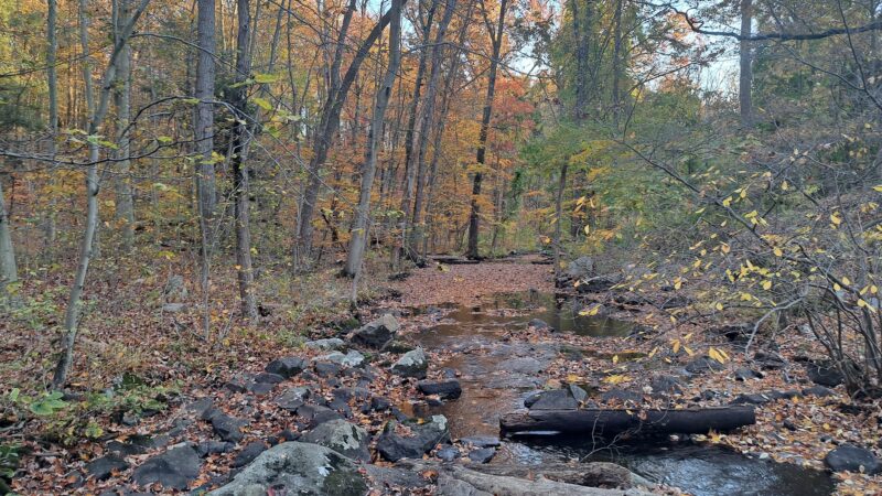 Hudson Highlands Gateway Park Overlook Pond Trailhead - Cortlandt, NY