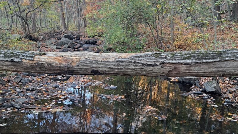 Hudson Highlands Gateway Park Overlook Pond Trailhead - Cortlandt, NY