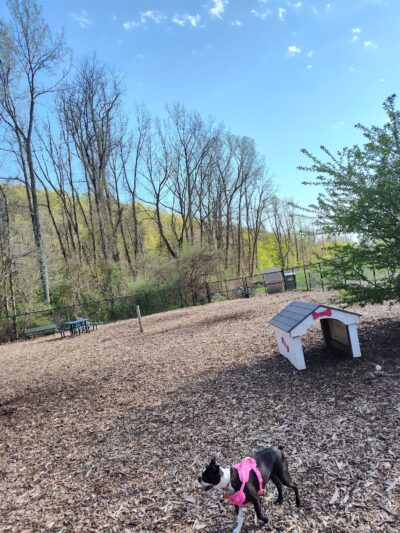 Sprout Brook Park - Cortlandt, NY