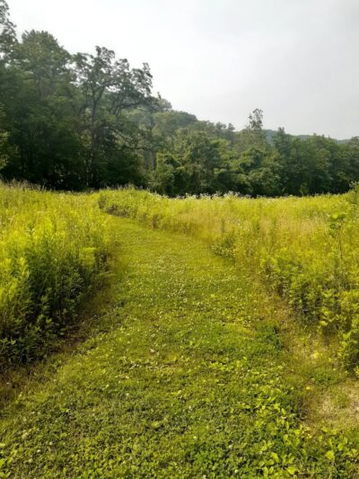 Sprout Brook Park - Cortlandt, NY