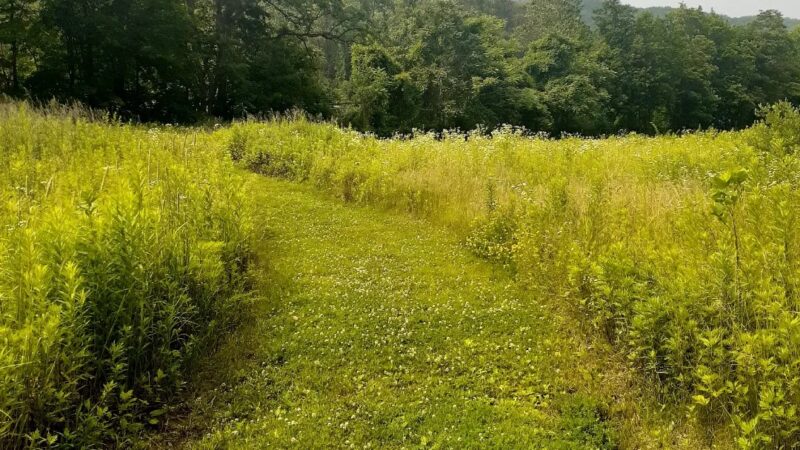 Sprout Brook Park - Cortlandt, NY