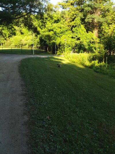 Sprout Brook Park - Cortlandt, NY