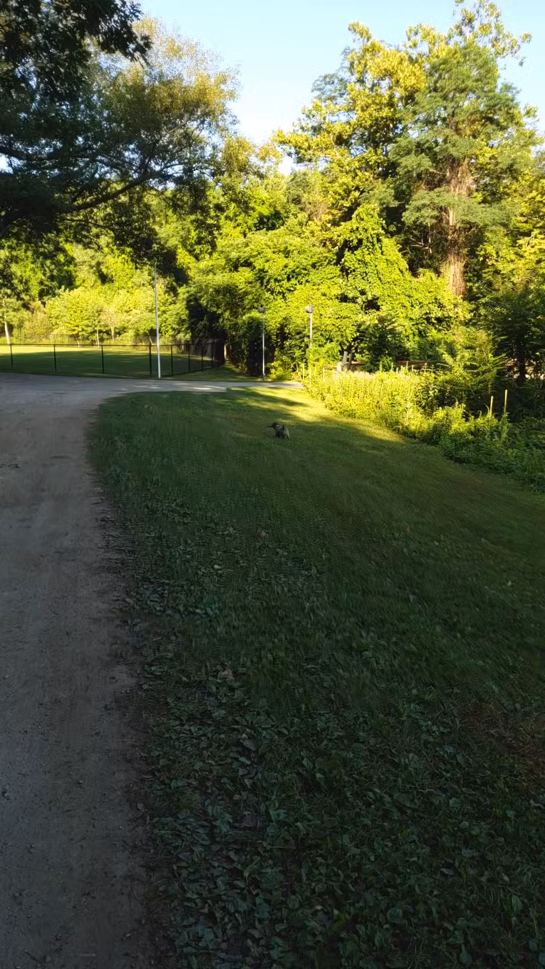 Sprout Brook Park - Cortlandt, NY