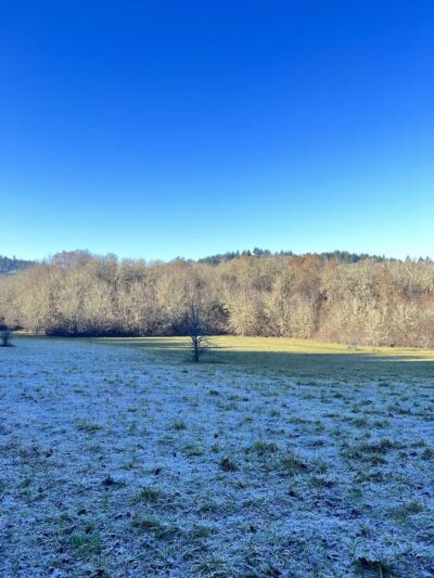Off-Leash Dog Area - Corvallis, OR