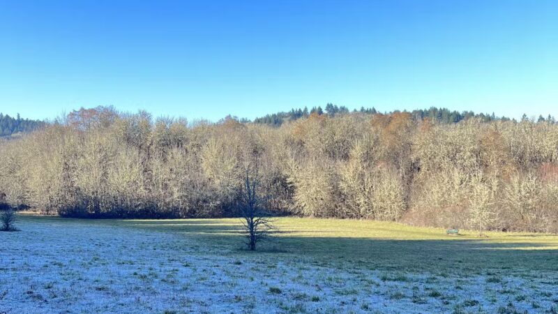 Off-Leash Dog Area - Corvallis, OR