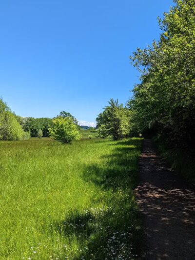 Off-Leash Dog Area - Corvallis, OR