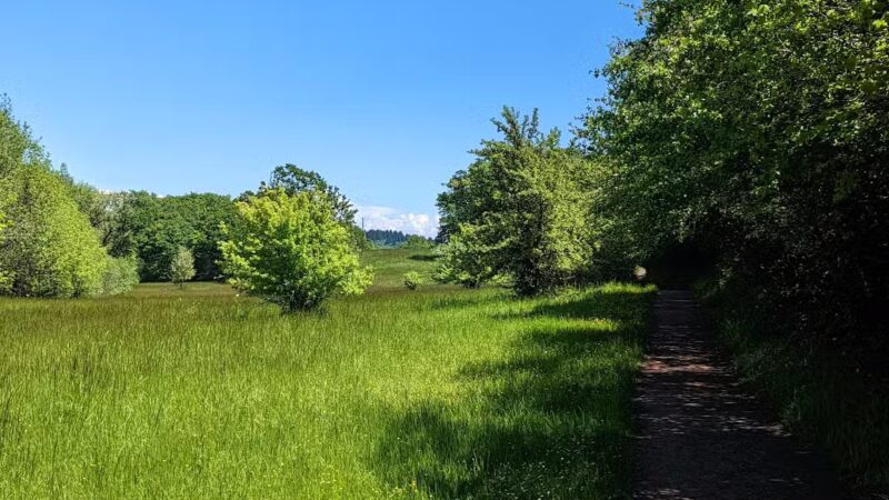 Off-Leash Dog Area - Corvallis, OR