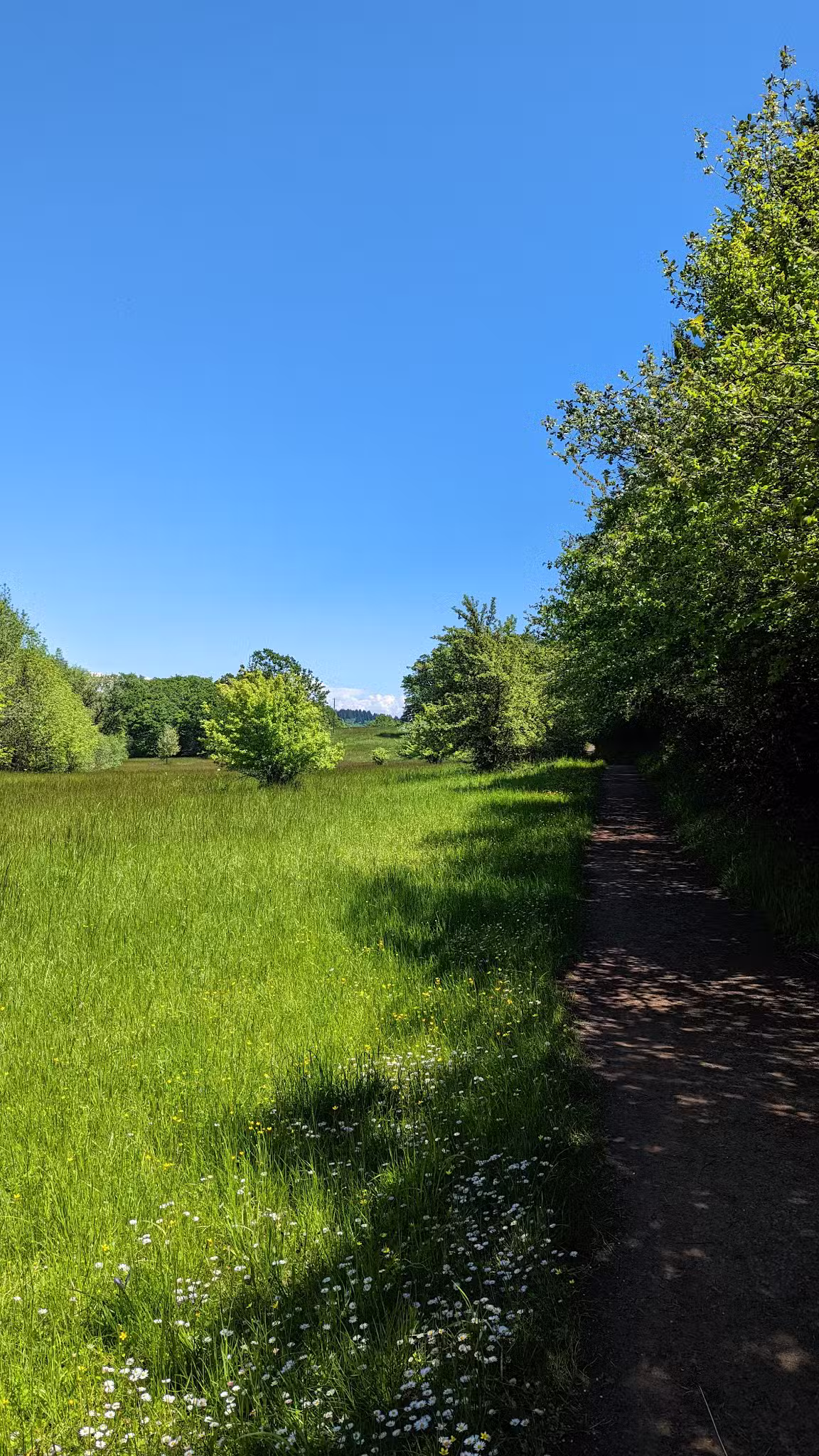Off-Leash Dog Area - Corvallis, OR