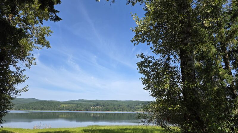 Pine Meadows Campground - Cottage Grove, OR