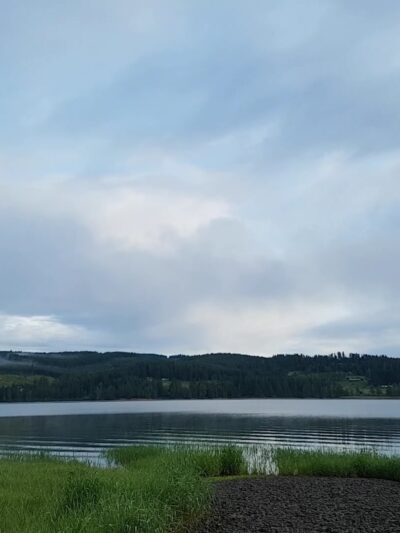 Pine Meadows Campground - Cottage Grove, OR