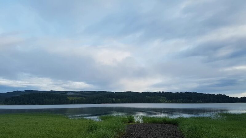 Pine Meadows Campground - Cottage Grove, OR