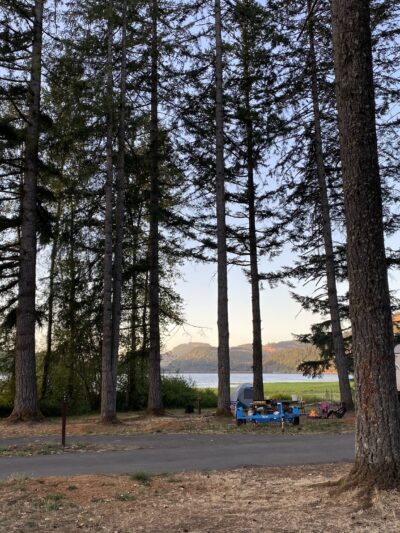 Pine Meadows Campground - Cottage Grove, OR