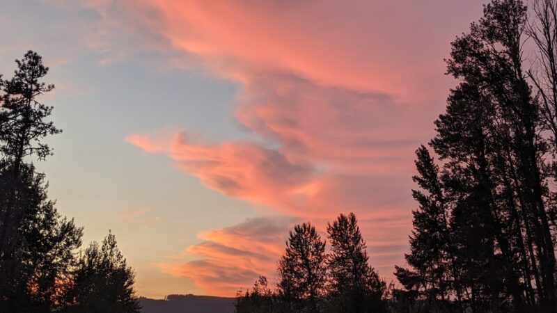 Primitive Campground - Cottage Grove, OR