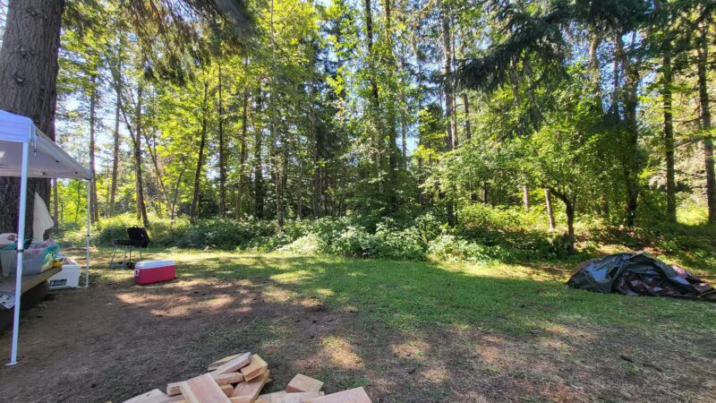 Primitive Campground - Cottage Grove, OR