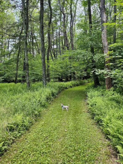 Saulter Preserve - Coudersport, PA