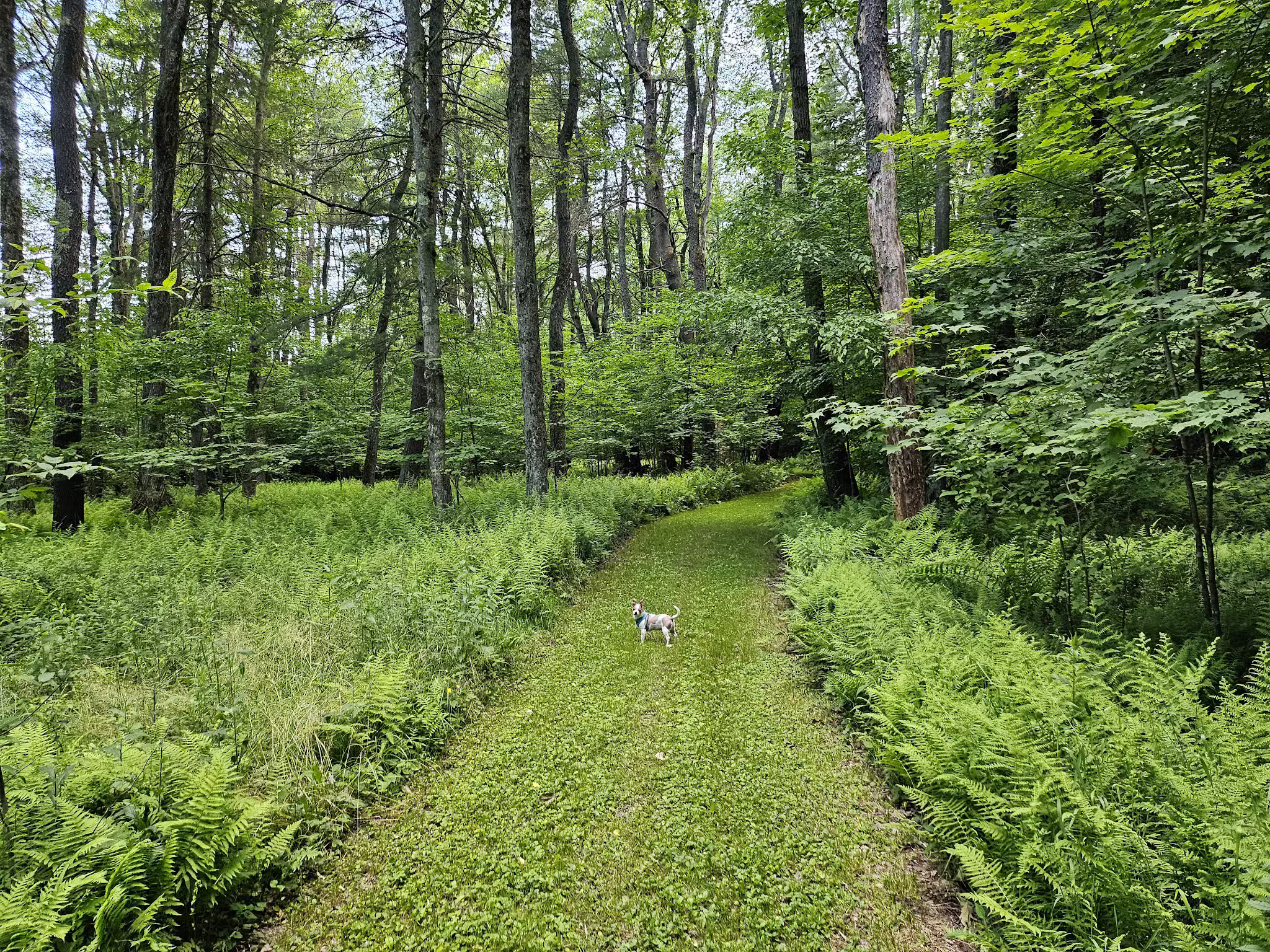 Saulter Preserve - Coudersport, PA