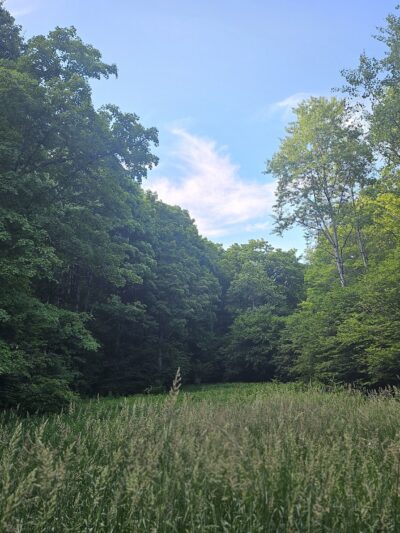 Saulter Preserve - Coudersport, PA