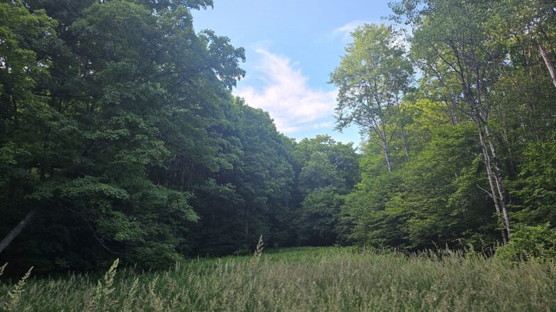 Saulter Preserve - Coudersport, PA