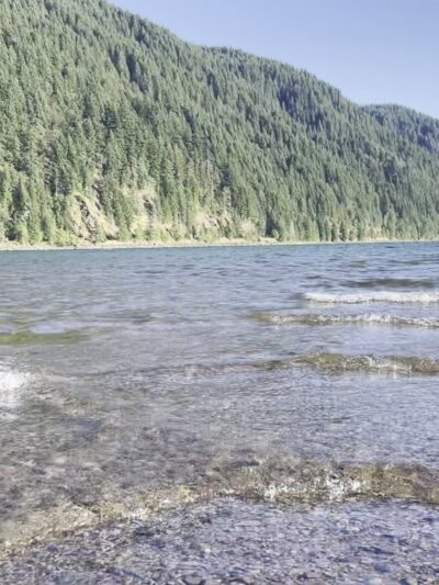 Cougar Park & Campground - Cougar, WA